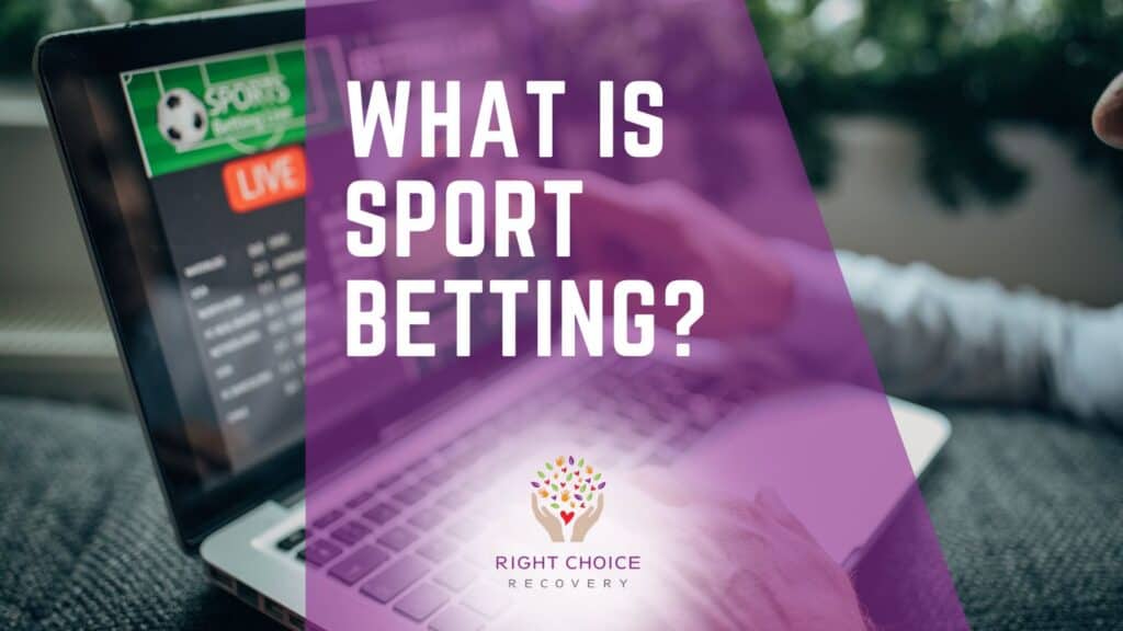 Exploring Bookies With Built-In Streaming Enhance Your Betting Experience Exploring Bookies With Built-In Streaming Enhance Your Betting Experience